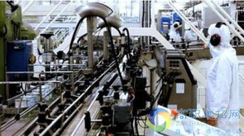 煙臺職業(yè)學(xué)院單招熱門專業(yè)解析與信息系統(tǒng)運(yùn)行維護(hù)服務(wù)專業(yè)前景展望